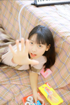 消失的大象